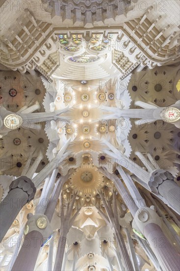 Interior view of the Sagrada Familia by Antoni Gaudi