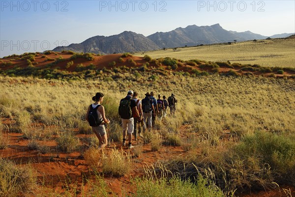 Hikers