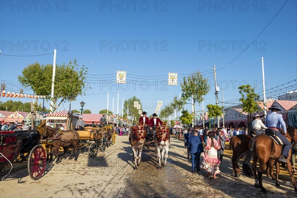 Adorned horse-drawn carriage in front of Casetas