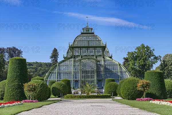 Palm House