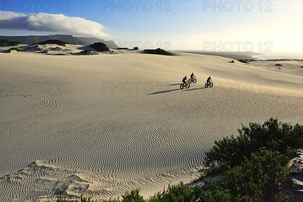 Mountain biking with fat bikes on sand dunes