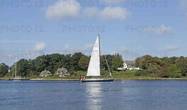 Sailboat on the Schlei