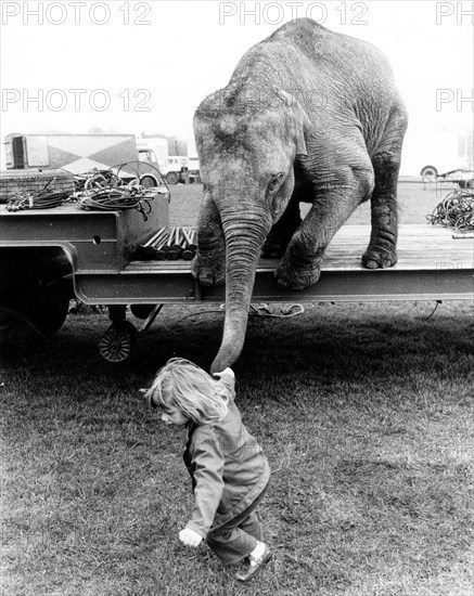 Girl pulls elephant on trunk