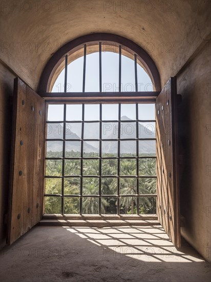 View from barred window to palm oasis