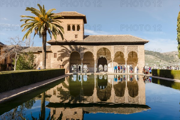 Antique Building El Partal with pool and palm trees