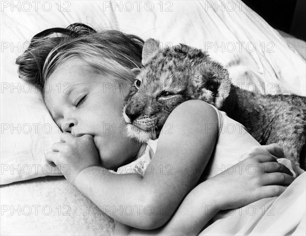 Little girl cuddling in bed with baby lion while sleeping