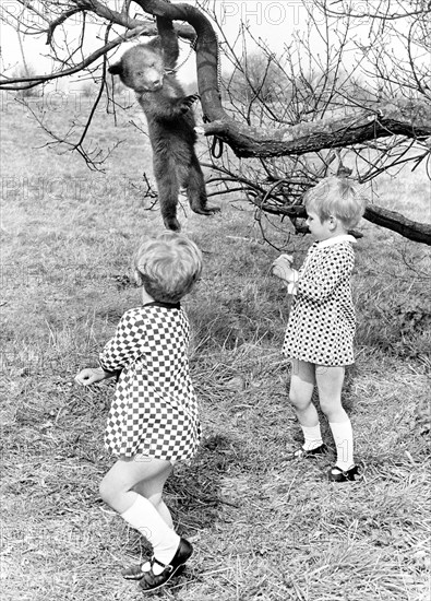 Two girls and a little bear hanging from a tree