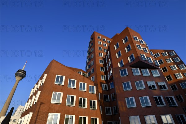 Rhine Tower with Gehry buildings