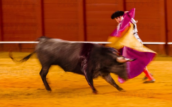 Racing bull with matador