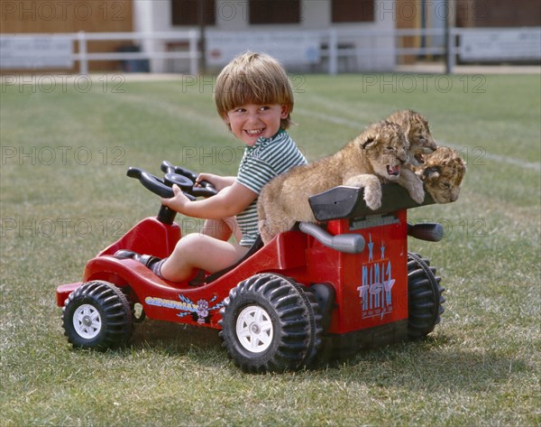 Boy with three young lions