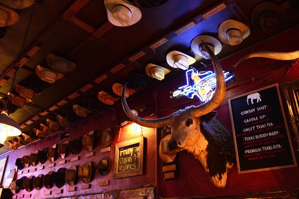 Wall with stuffed longhorn and many cowboy hats in a bar