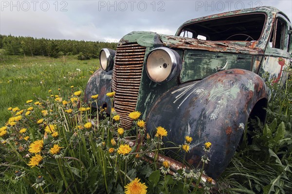 Vintage car
