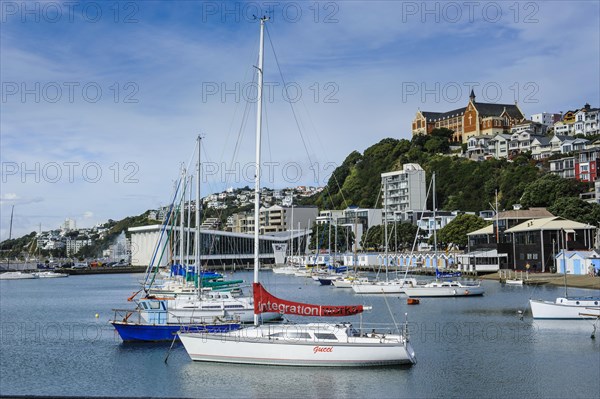 Little boats in the harbour of Wellington