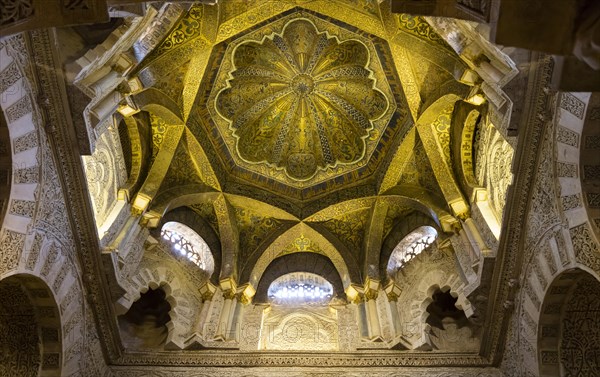 Ceiling vault