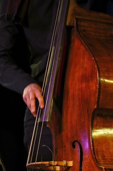 Conrad Steinhoff of the Gerold Heitbaum Quartet plucking on contrabass