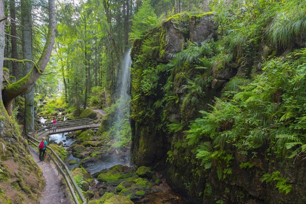 Hiking trail