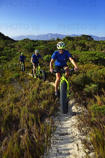 Mountain biking on fat bikes through bushes