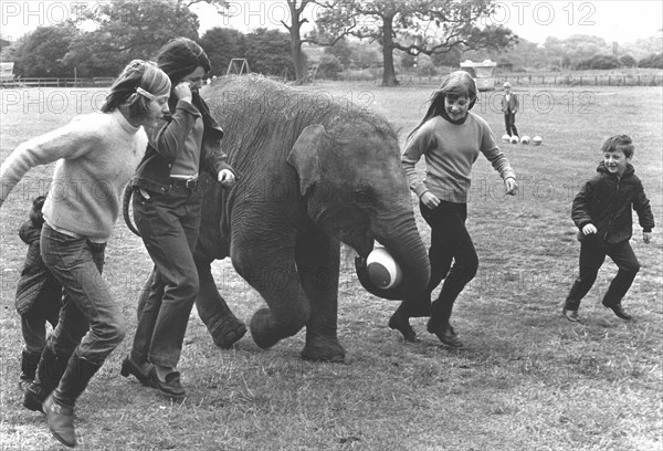 Children play with an elephant ball