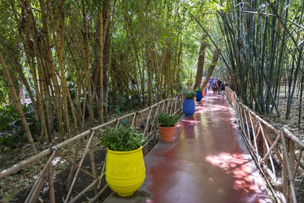 Jardin Majorelle Botanical Garden