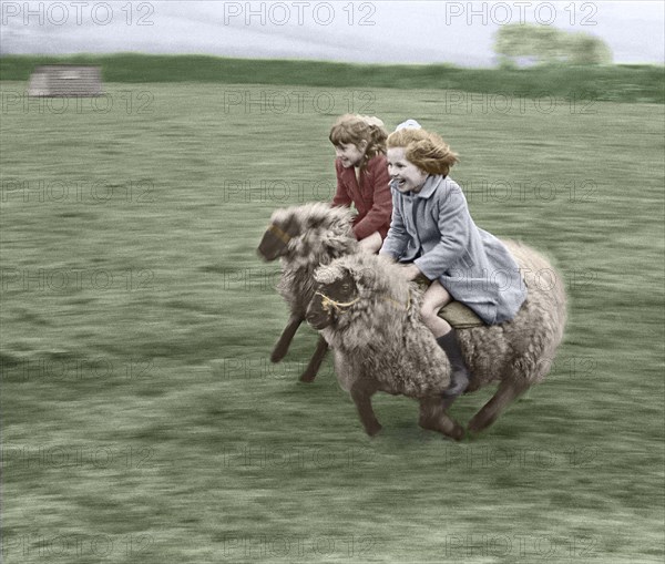 Two children ride on sheep