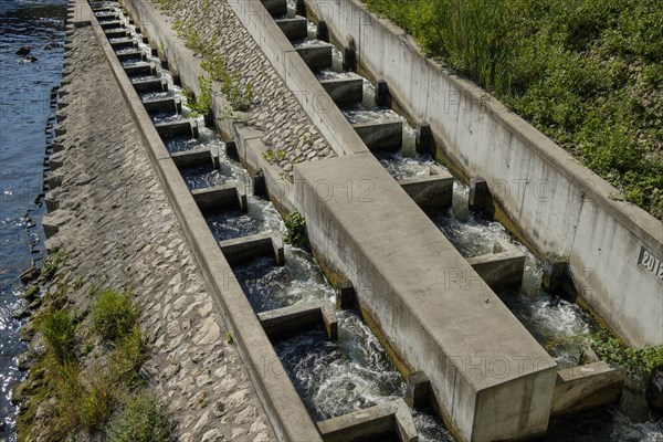 Fish ladder