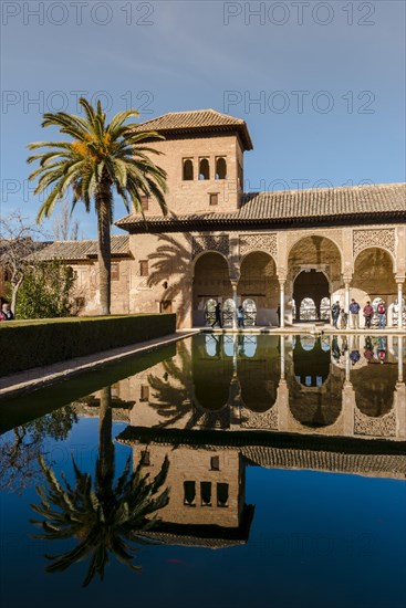 Antique Building El Partal with pool and palm trees