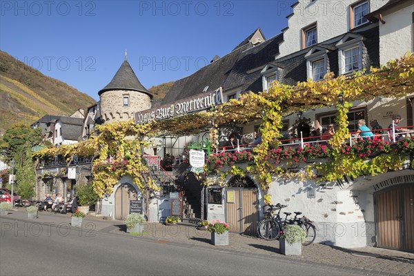 Cafe Restaurant Haus Burg Metternich in autumn