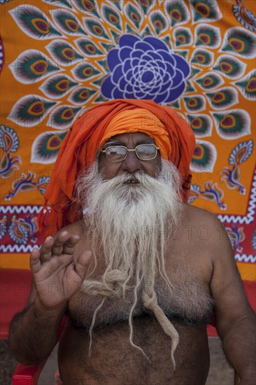 A Sadhu during the Kumbh Mela