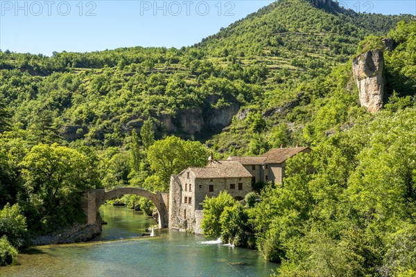 Grands Causses Natural Regional Park