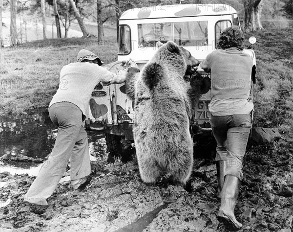 Men and Bear push car