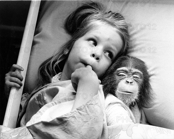 Girl in bed with chimpanzees