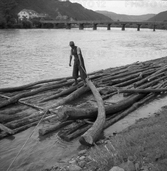 Man builds a raft from tree trunks