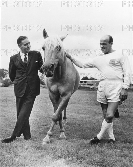 Horse on football field