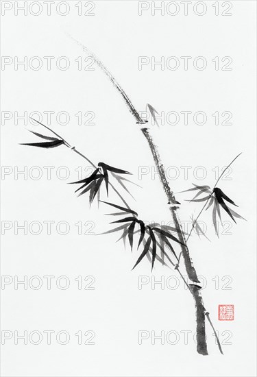 Japanese Sumi-e Zen black ink painting of bamboo stalk with leaves on rice paper