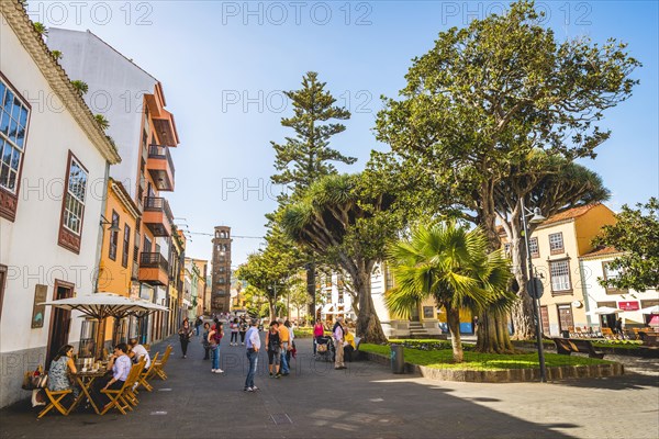 Lively alley in the pedestrian zone