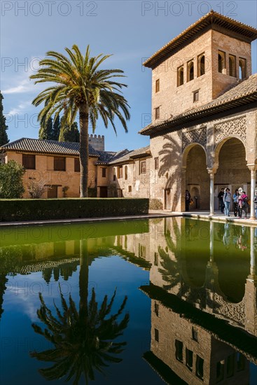 Antique Building El Partal with pool and palm trees