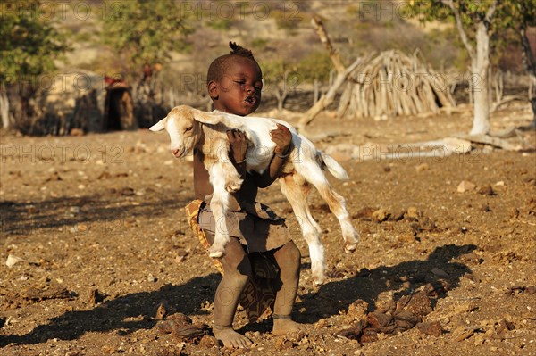 Little Himba boy carrying a goat