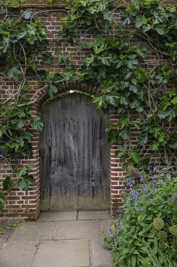 Old door