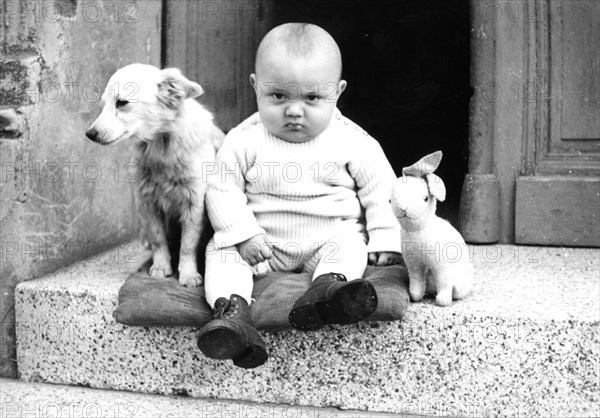 A baby with a dog and plush rabbit sits on a landing and looks grimly into the camera