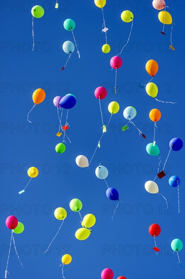 Colorful balloons rise to the sky