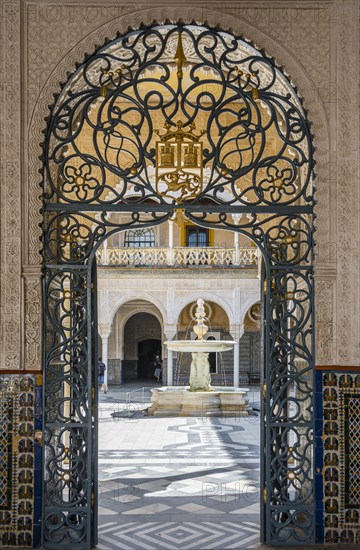 Entrance door