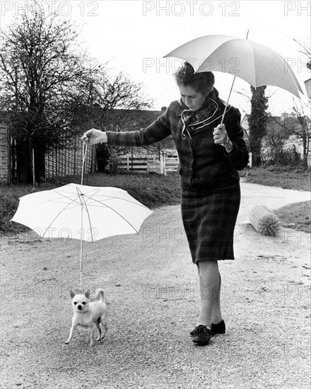 Woman goes for a walk with her puppy