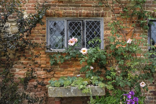 Old brick facade with lattice windows