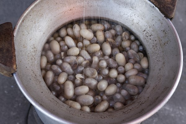 Cooking silkworm cocoons