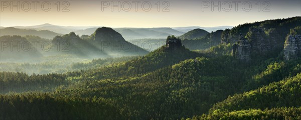 Morning atmosphere in the Elbe Sandstone Mountains