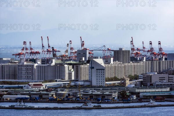 Harbour view