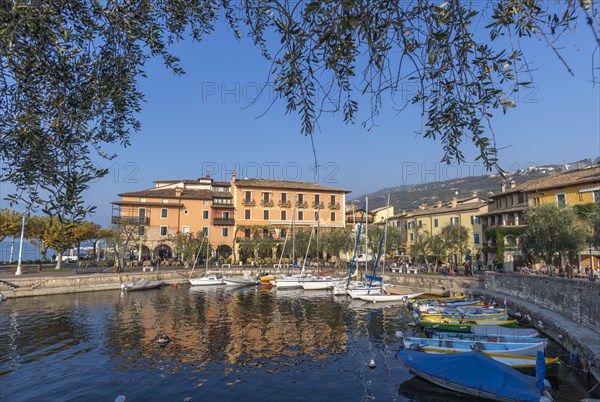 Port of Torri del Benaco