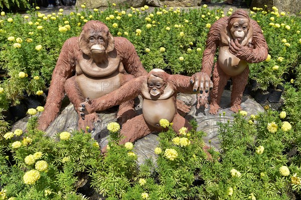 Orang Utan figures