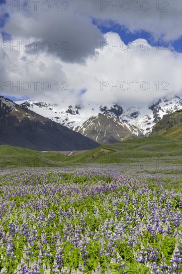 Icelandic landscape