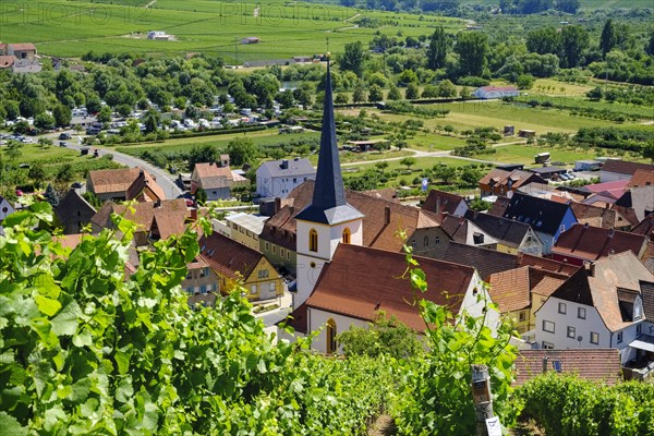 Escherndorf near Volkach